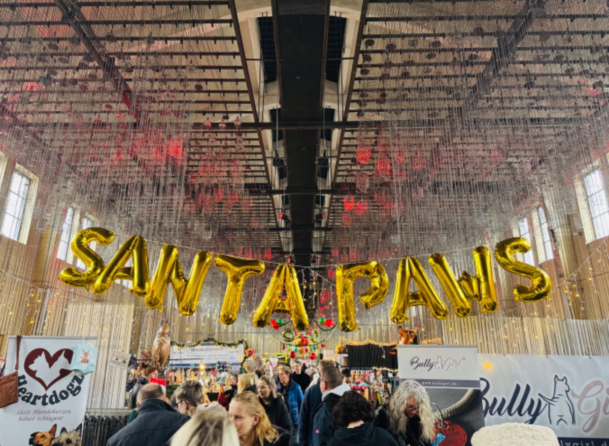 Bello Santa Paws
